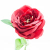 Stem -rose