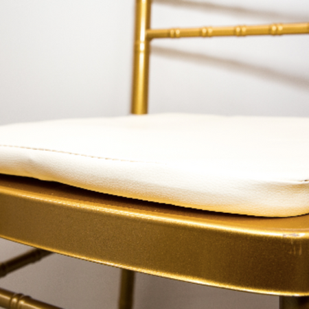 Tiffany Chair Cushion - Gold