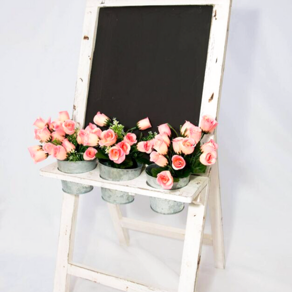 Blackboard And Planter