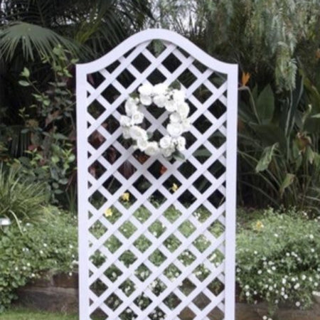 Arch -Gate backdrop white