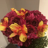 stem -tropical Yellow/Orange