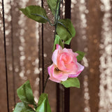 Pink Rose Vine