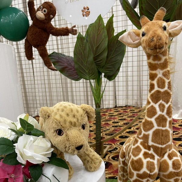 Animals plushies