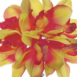 stem -tropical Yellow/Orange