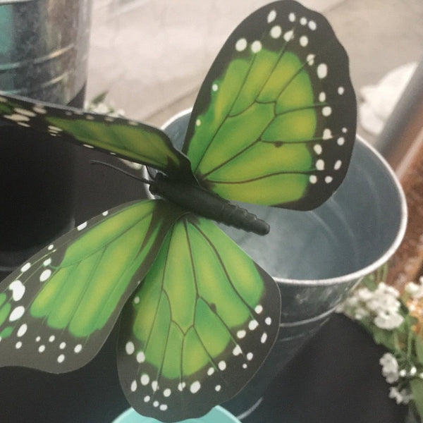 Butterflies - Prop