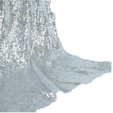 Curtain - Silver Sequin