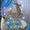 Party packages -Frozen Theme