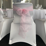 Organza Sash - Baby Pink