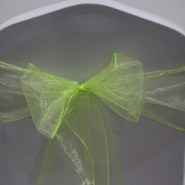 Organza Sash - Apple