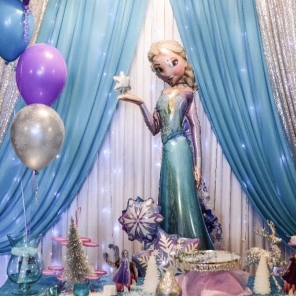 Party packages -Frozen Theme