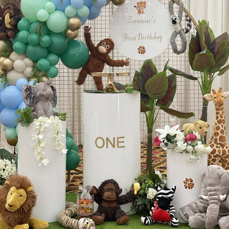 Party packages-Circus