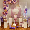 Party packages Swan Theme 2