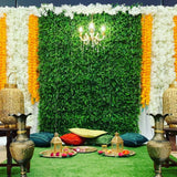 Stage Package -Jasmine Garden