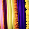 Curtain - rainbow chiffon