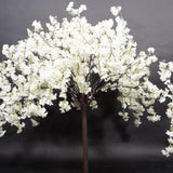 Tree -cherry blossom white