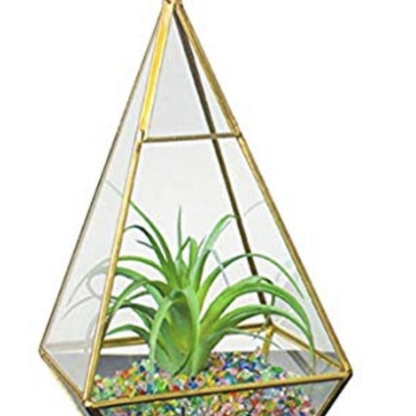 Vase -Terrarium Gold