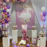 Party packages Swan Theme 2