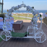 Cinderella Carriage